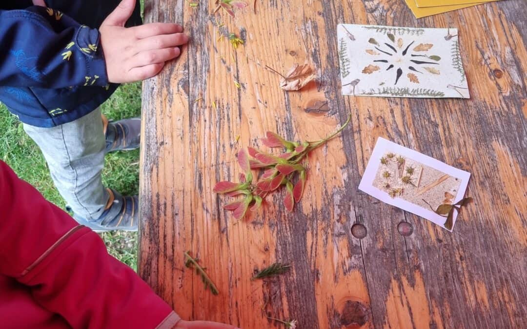 Besuch der Kinder- und Jugendfarm – Woche der Nachhaltigkeit